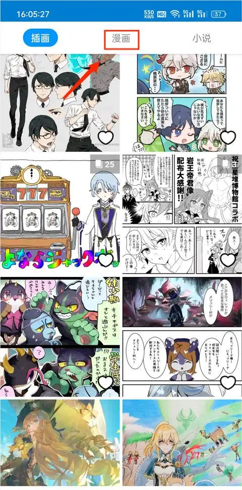 pixiv高级版