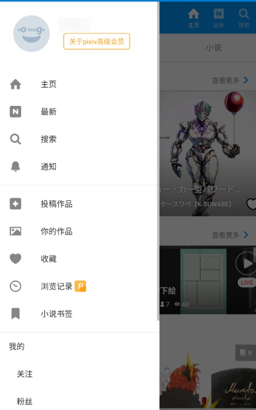 pixiv高级版