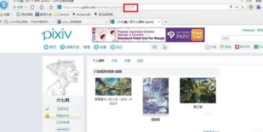 pixiv高级版